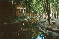 川井キャンプ場